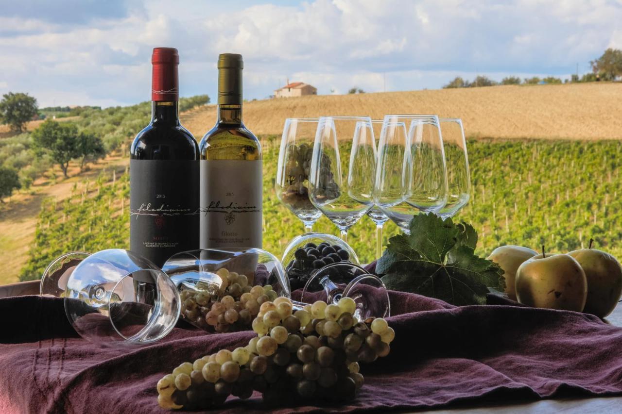 Filodivino Wine Resort & Spa San Marcello  المظهر الخارجي الصورة